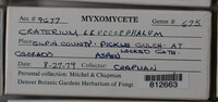 Image Associated With the Occurence